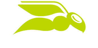 Immagine per il produttore Hornetsecurity