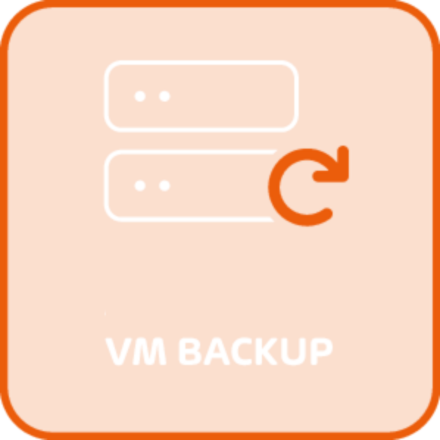 Immagine di HornetSecurity VM Backup - perpetual licenses