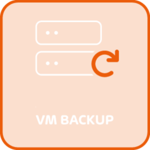 Immagine di Hornetsecurity VM Backup - Standard Edition - new license - 1 year
