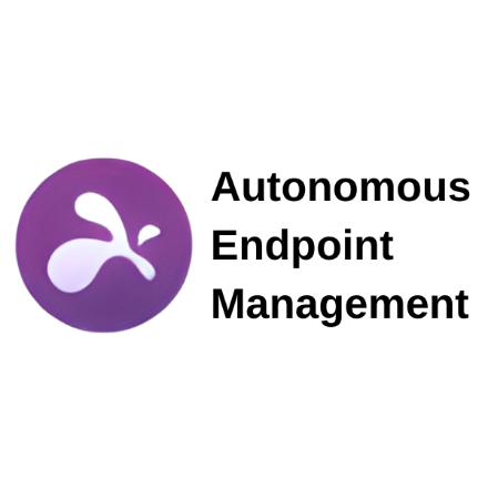 Immagine di Splashtop Autonomous Endpoint Management - 300 endpoint